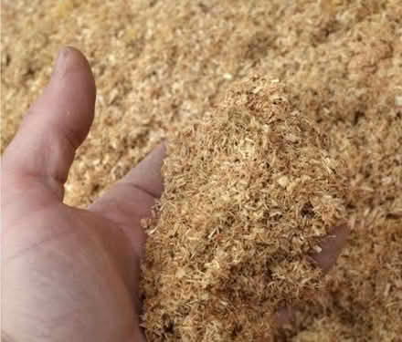 Photo of Sawdust (Station Area RG21) #1