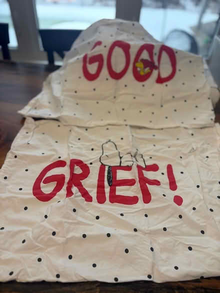 Photo of free Queen size Sheets/Duvet Cover (Kanata Lakes) #3