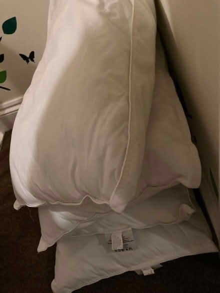 Photo of free Pillows (Southsea PO4) #1