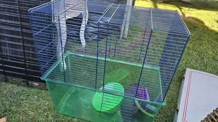 Photo of free Hamster garbil cagr with wheels (Corstophine EH4) #2