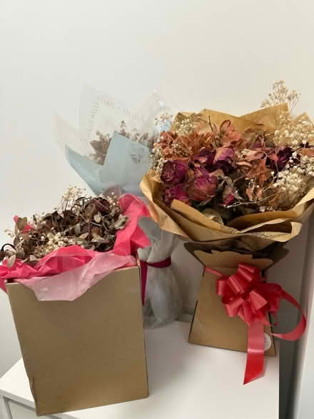 Photo of free Dead roses flowers (Carshalton SM5) #2