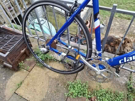 Photo of free Bike (Hastings TN34) #4