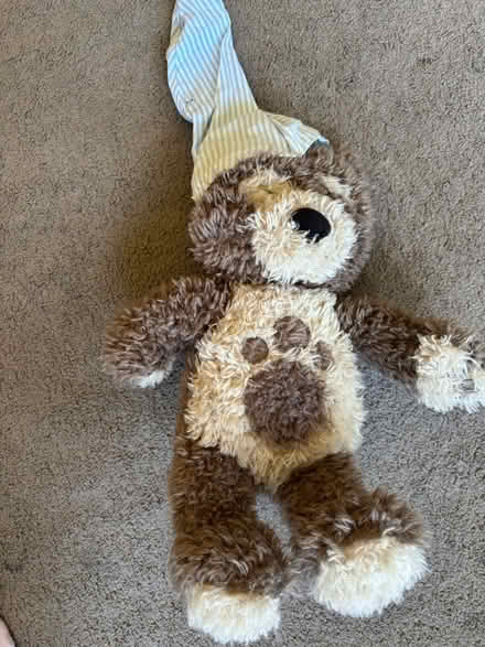 Photo of free Charlie bear (Leigh on sea SS9) #1