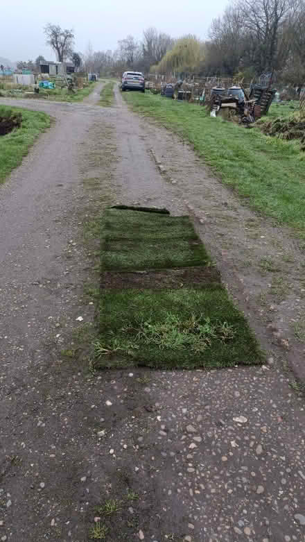 Photo of free Strips of muddy artificial grass (Shirley CR0) #3