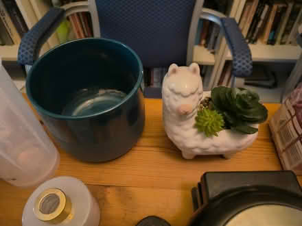 Photo of free Decorative pots (Borehamwood) #1