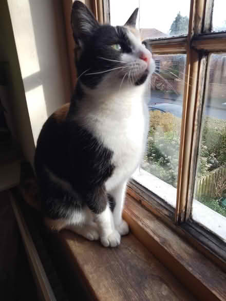 Photo of Insulation 🐆 (Oxford OX4) #1