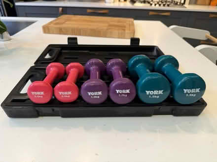Photo of free York Dumbbells in carry case (Acton, London) #1