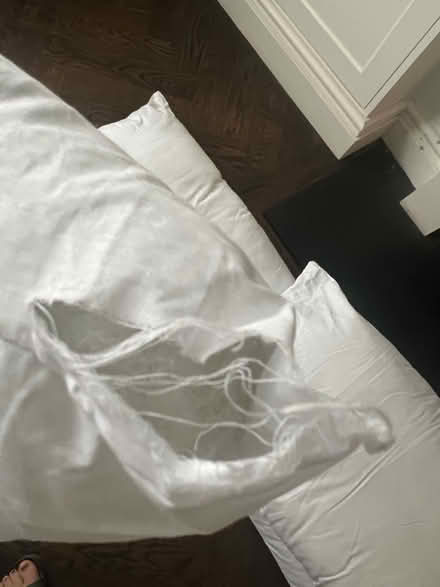 Photo of free brand new matching pillows (SE24) #3