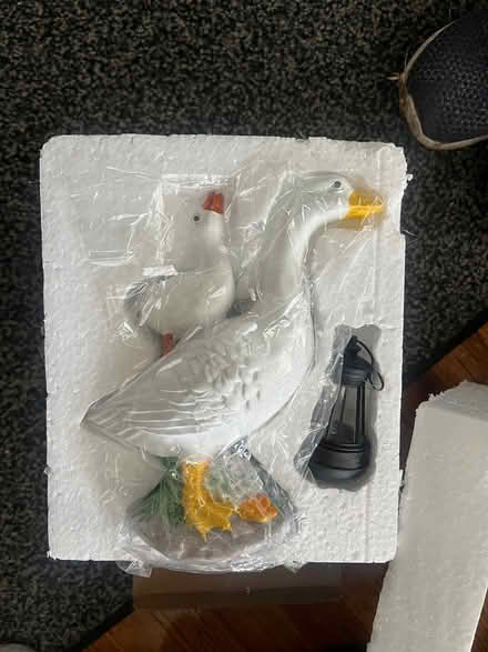 Photo of free Two solar duck lanterns (W Bethlehem) #1