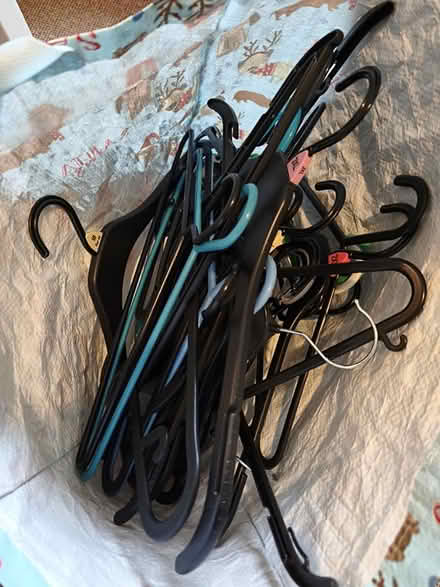 Photo of free Bag of coat hangers (RG15RA) #1