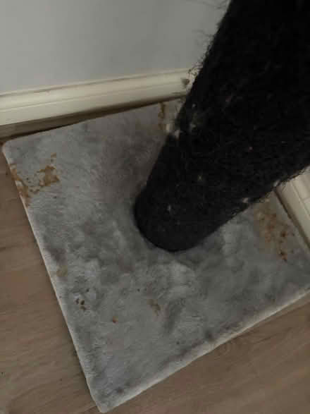 Photo of free Cat scratch post (CW11) #1