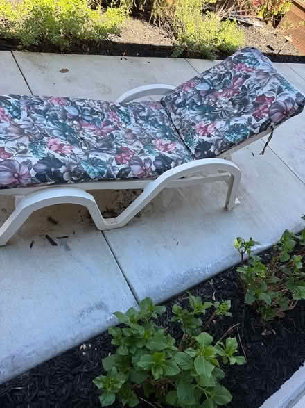 Photo of free Garden lounger (Remington Ave in Sunnyvale) #2