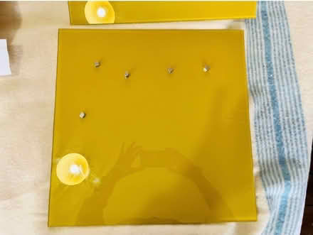 Photo of free 2 x magnetic glass noticeboards (South Norwood SE25) #2