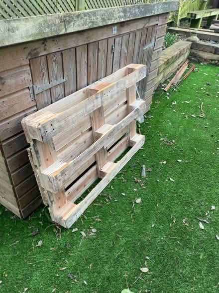 Photo of free New Wood Pallet (Brockley SE4) #1
