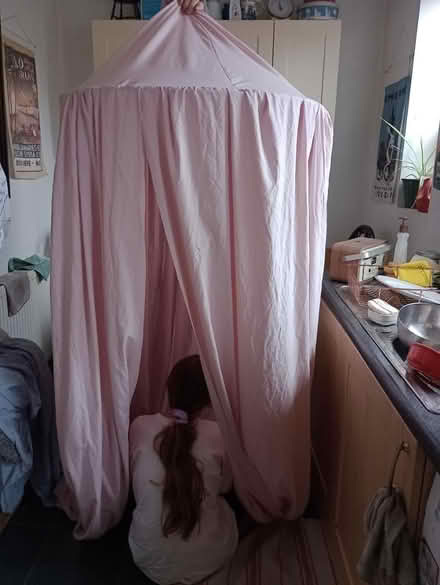 Photo of free Child's princess bed canopy (Harton, NE34) #1