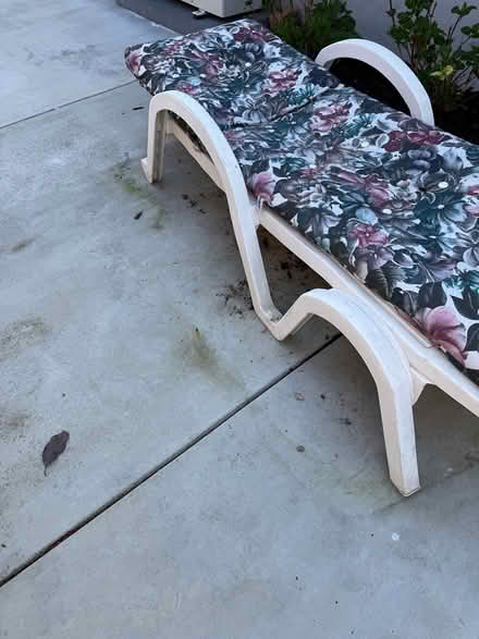 Photo of free Garden lounger (Remington Ave in Sunnyvale) #3