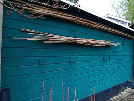 Photo of free Bamboo Poles (Ballard) #1