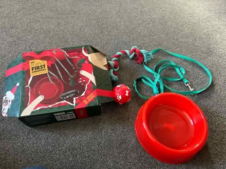 Photo of free Puppy set (Plumpton CA11) #1