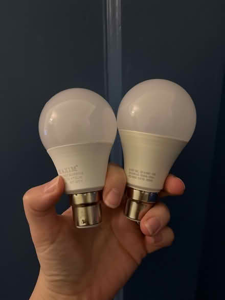 Photo of free Two lightbulbs (Ladywell SE13) #1