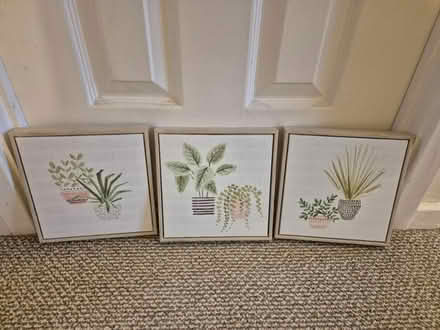 Photo of free Various canvas pictures (Drayton PO6) #1