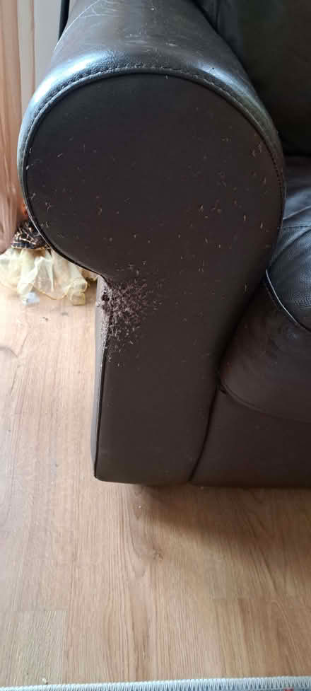 Photo of free 2 seater leather sofa (Kingswood Common HR5) #3