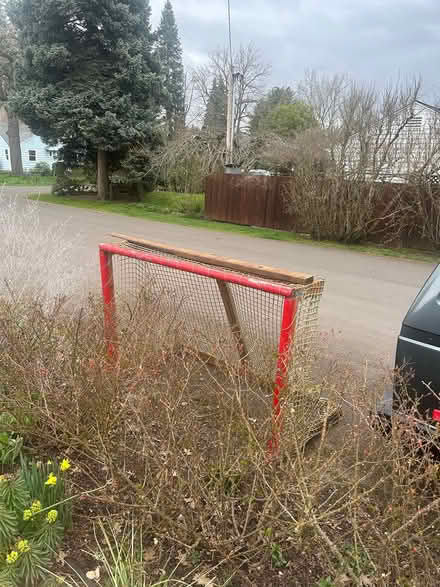 Photo of free Street hockey goal (River rd) #1
