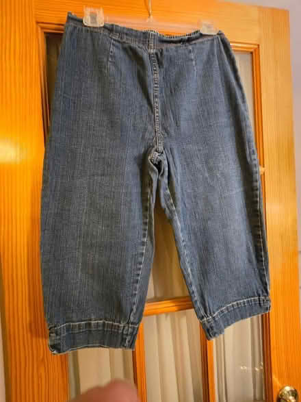 Photo of free Medium Elastic Waist Women's capris (Block by Lombard pool) #1