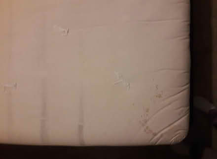 Photo of free Futon mattress (Old Town East Fort Collins) #2