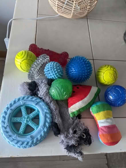Photo of free Dog toys (EH5, Granton, Edinburgh) #1