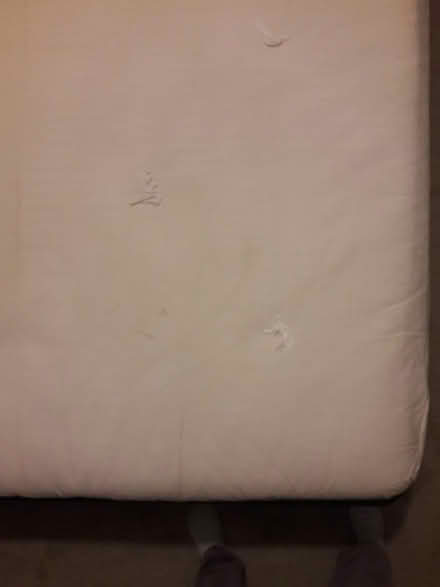 Photo of free Futon mattress (Old Town East Fort Collins) #4
