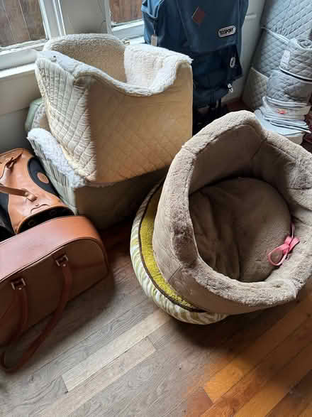 Photo of free Cozy Small Pet Gear (Montrose/Museum District) #1