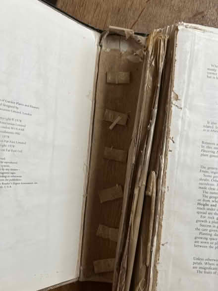 Photo of free Plant encyclopaedia (Little Herberts GL53) #2