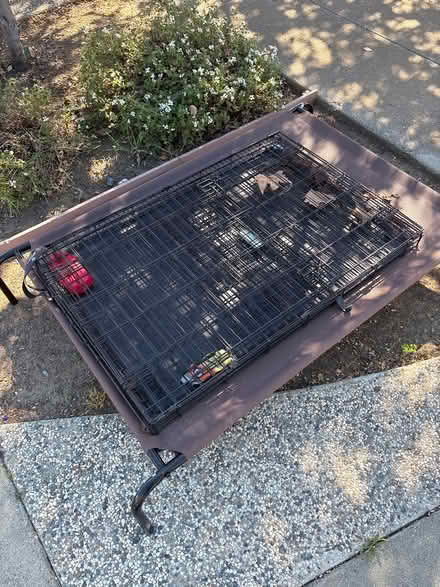 Photo of free dog bed and cage (South side) #1
