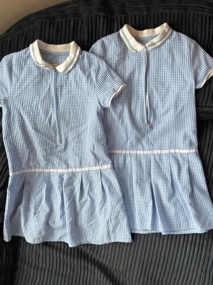 Photo of free George girl gingham dress 3-4 (Levenshulme M19) #2
