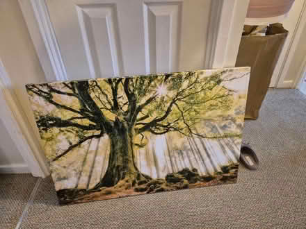 Photo of free Various canvas pictures (Drayton PO6) #2