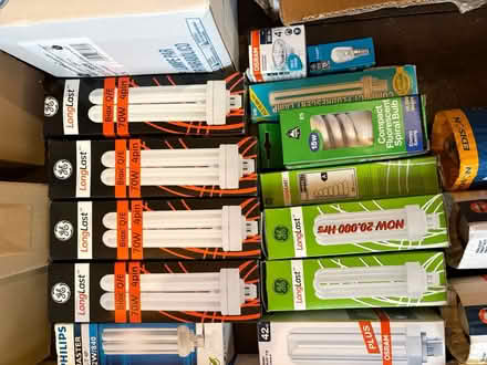 Photo of free New Light Bulbs (Liverpool L13) #3