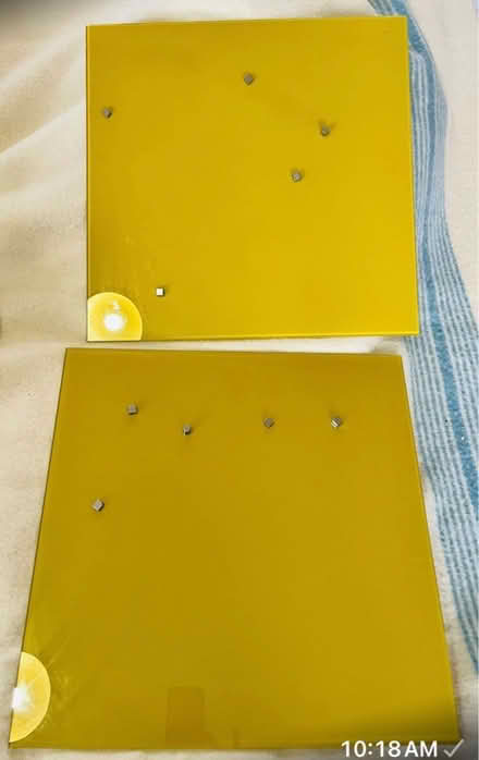 Photo of free 2 x magnetic glass noticeboards (South Norwood SE25) #1