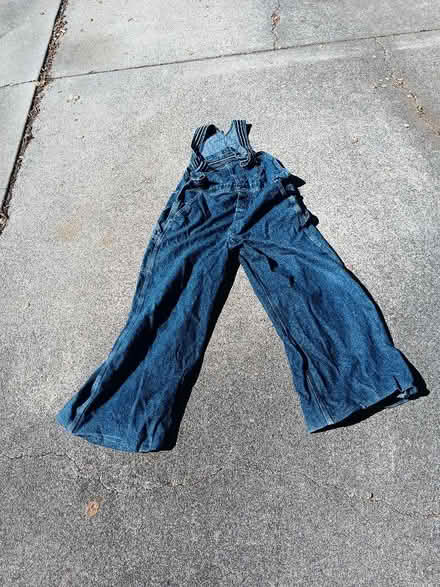 Photo of free XL Coceralls (West San Jose) #1