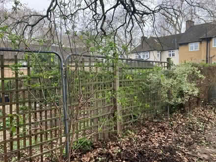 Photo of free Metal fence (SE24) #1