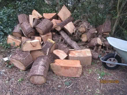 Photo of free Unsplit/uncut logs (Cheddar BS27) #1