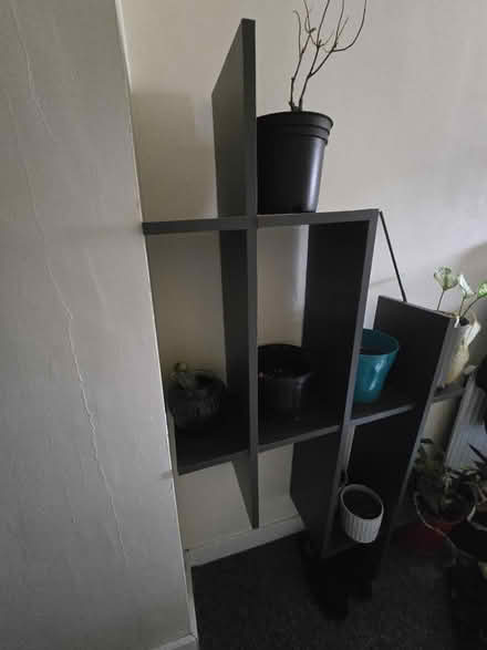 Photo of free Plants decor (IG3 8EX) #2