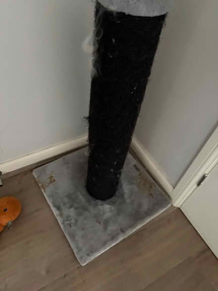 Photo of free Cat scratch post (CW11) #2