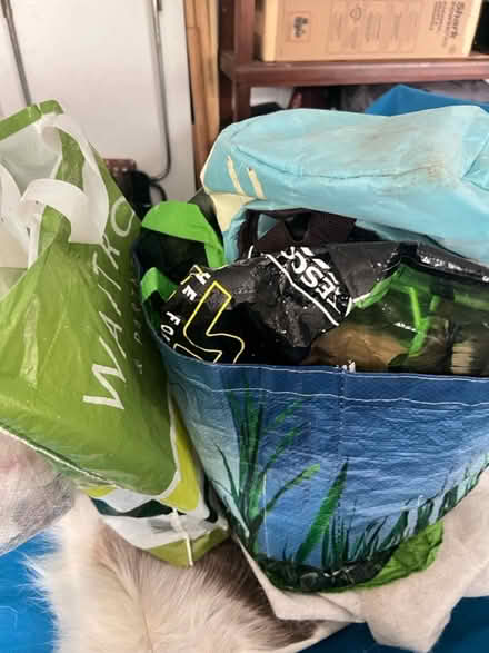 Photo of free Carrier Bags Galore (Maulden MK45) #1