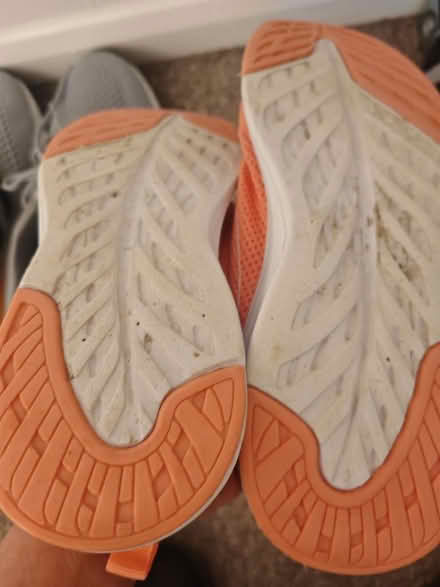Photo of free Primark size 5 Gym shoes (South Oxhey WD19) #2