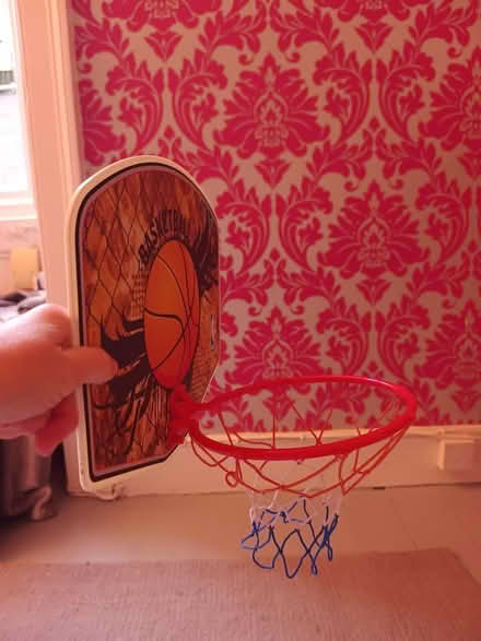 Photo of free Mini Basketball Hoop (Bruntsfield EH10) #2