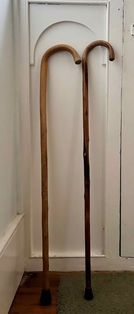 Photo of free Two Walking sticks (Teddington Tw11) #1