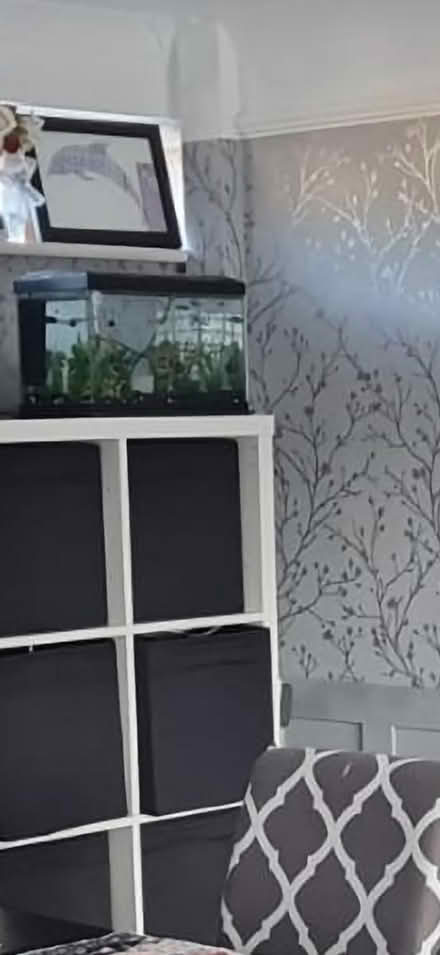 Photo of free Small fish tank and fish (MK15 downhead park) #1