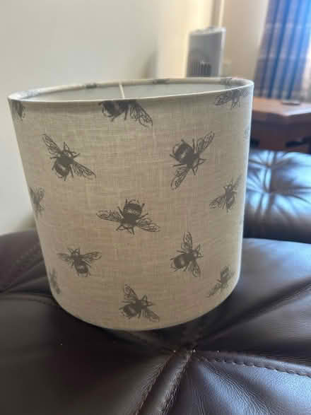 Photo of free Small bee lampshade (Plumpton CA11) #1