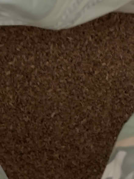 Photo of free Cat litter (wood shavings) (St. Clair & Victoria Park) #2