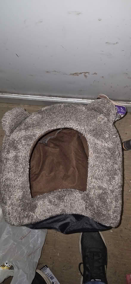 Photo of free Teddy bear cat bed (Eastfield YO11) #1